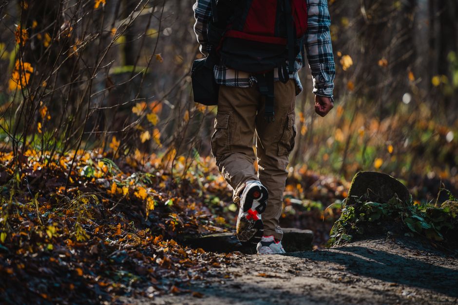 Walking for Fitness: 6 Steps to a Daily April Habit