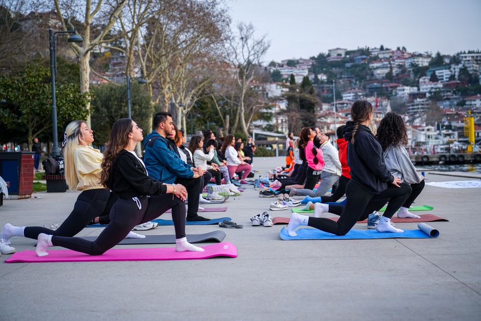 Yoga For Beginners Free Online: Free Online Yoga for Beginners: What Actually Works